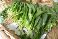 Allium ursinum 33.jpg