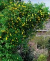 90540.jpg
