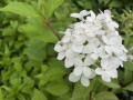 5653BDAB-3F0B-48D2-A026-A89D6AD36287.jpeg