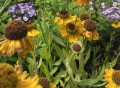 FD9D1D56-260D-4F18-9D0A-40674745FF78.jpeg