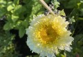 IMG_1223.jpeg