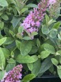 IMG_4407.jpeg