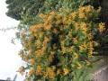 IMG_4848.jpeg