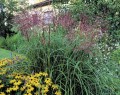 ferner-osten-small_l.jpg