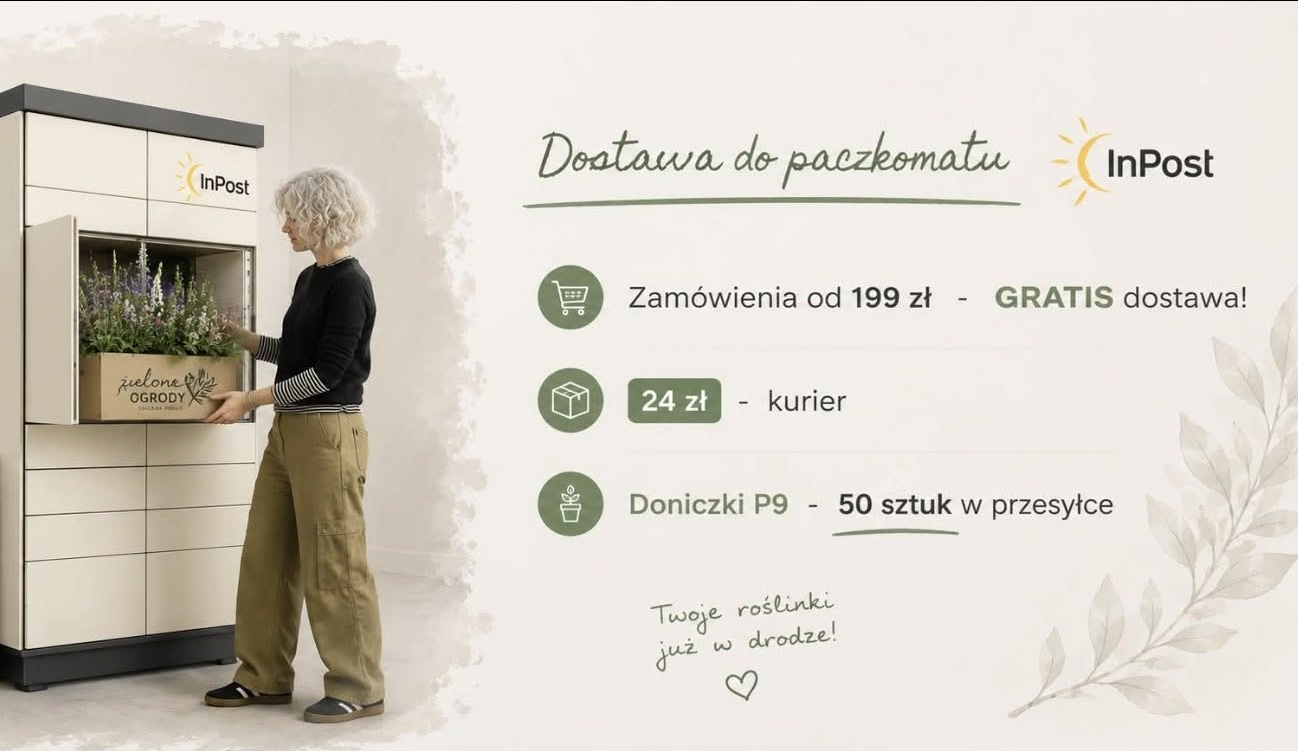 wysyłka gratis 2023